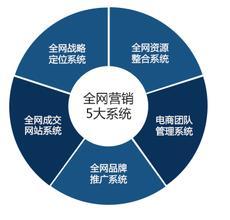 網絡營銷特性、營銷型網站與電子商務平臺開發運營的對比分析