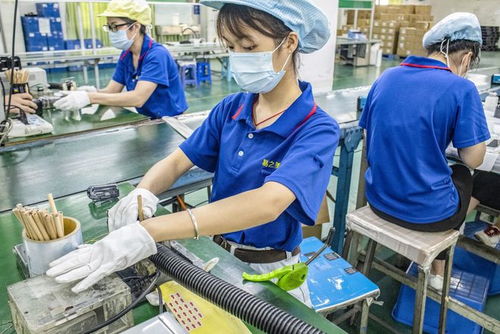 東莞往事 工廠大姐修電腦的溫情邂逅與網站設計夢